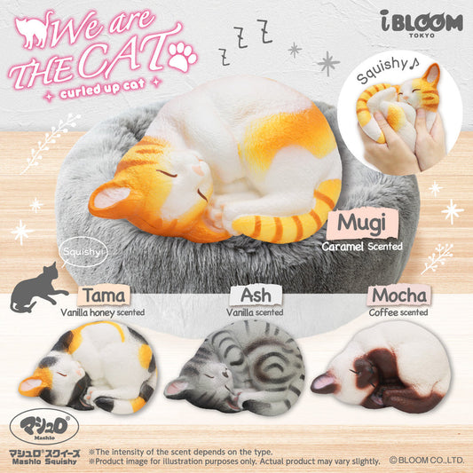 iBloom Squishy - We Are The Cat curled up cat, Complete set (4pcs)